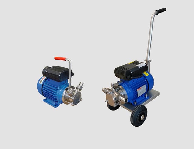 Pompe flanged Zambelli